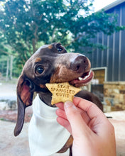 Load image into Gallery viewer, Patriotic + Star Spangled Dog, Star Shaped Dog Biscuit Cookie Cutter (4 designs)
