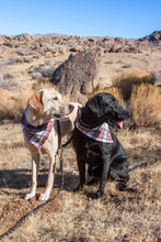 Load image into Gallery viewer, Good Tidings Christmas Plaid Flannel Dog Bandana (Personalization Available)
