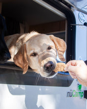 Load image into Gallery viewer, Teardrop Camper Shaped Cookie Cutter
