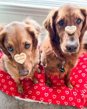 Load image into Gallery viewer, Swiftie Inspired Conversation Hearts - Dog Biscuit Cookie Cutters
