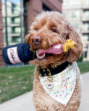 Load image into Gallery viewer, Confetti &amp; Hats - Birthday Dog Bandana &amp; Gotcha Day Dog Bandanas (Reversible Available)
