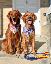 Load image into Gallery viewer, Sparkle &amp; Shine Dog Bandana (Personalization Available)
