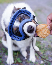 Load image into Gallery viewer, EPIC Adventure Dog with Goggles - Dog Face Cookie Cutter
