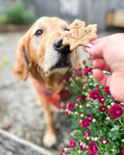 Load image into Gallery viewer, Fall Oak &amp; Maple Leaf Shaped Dog Biscuit Cookie Cutter (Bundle Available)
