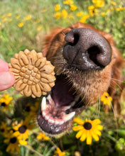 Load image into Gallery viewer, Sunflower Shape Cookie Cutter
