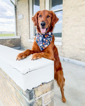 Load image into Gallery viewer, Ghoulishly Cute Halloween Dog Bandana
