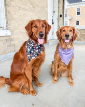 Load image into Gallery viewer, Sparkle &amp; Shine Dog Bandana (Personalization Available)
