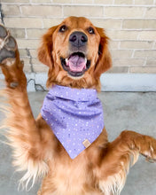 Load image into Gallery viewer, Sparkle &amp; Shine Dog Bandana (Personalization Available)
