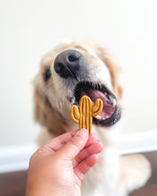 Load image into Gallery viewer, Saguaro Cactus Shaped Cookie Cutter
