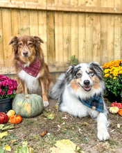 Load image into Gallery viewer, Autumn Skies Flannel Plaid Dog Bandana (Personalization Available)
