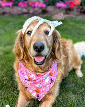 Load image into Gallery viewer, Wickedly Pink Halloween Dog Bandana
