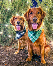 Load image into Gallery viewer, Forest Green Plaid Flannel Dog Bandana (Personalization Available)
